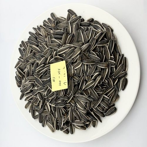 Dried And Cleaned Sunflower Seeds 361