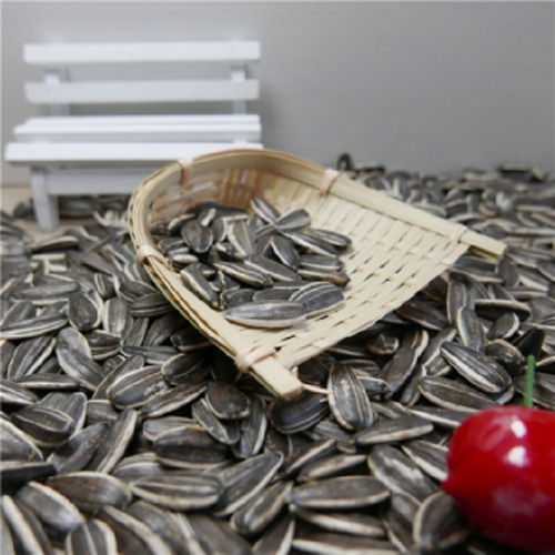 Premium Quality Organic Large Sunflower Seeds