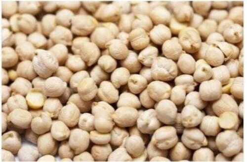 Black Rich In Taste Large Size Indian Cuisine White Chickpeas