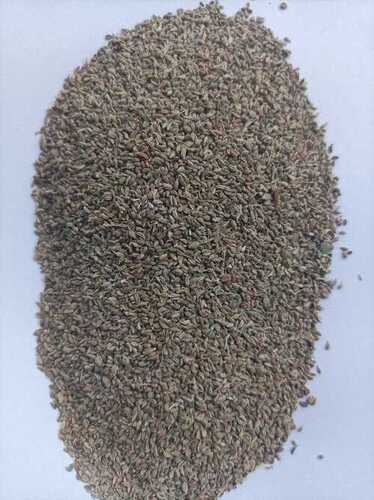 1 Kg Paked Ajwain Bold Green Carom Seed