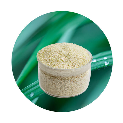 Anion Exchange Resin Decolorization Of Sugar Solution Resin Application: Water Treatment