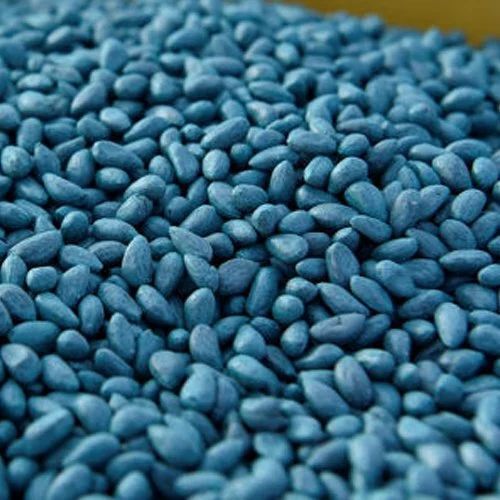 ए ग्रेड और भारतीय मूल के कॉटन सीड्स