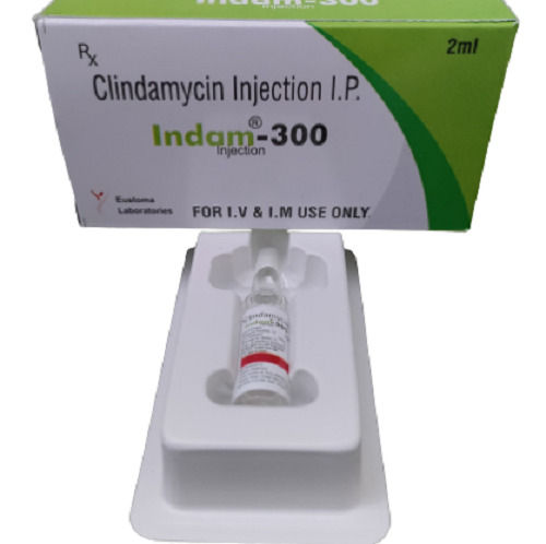 Premium Quality Clindamycin 300 Mg Injection at Best Price in Bhopal ...