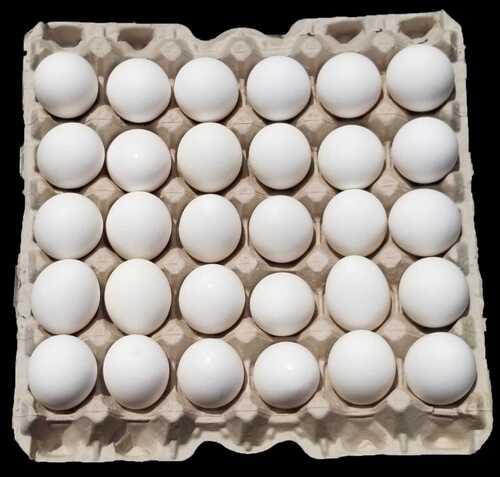 Poultry Eggs