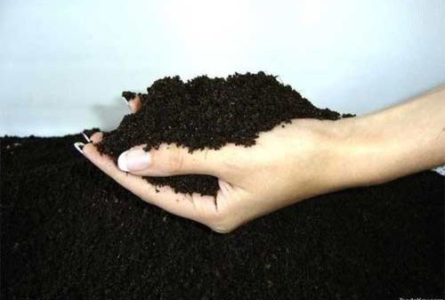 Black Bio Fertilizer Powder For Agriculture