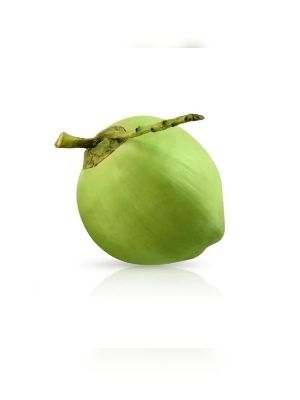 Common Rich In Taste Fat Free Fresh Green Coconut