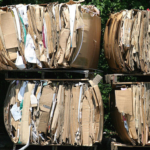 Waste Cardboard Scrap