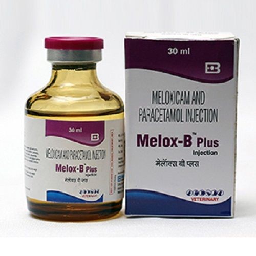 100 ml Paracetamol Injection For Veterinary Use