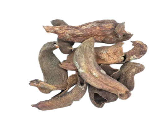 Kakra Singhi Pistacia Integerrima Natural Ayurvedic Herb