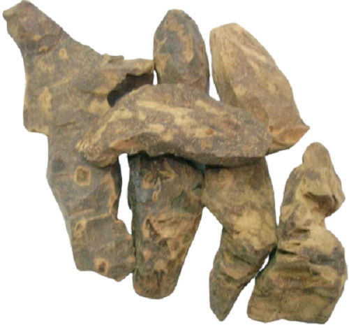 Lokhandi Chobchini Smilax Glabra Ayurvedic Herb