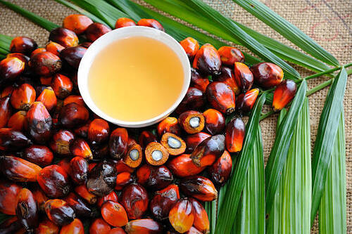 Pure And Refined Palm Oil For Industrial Use