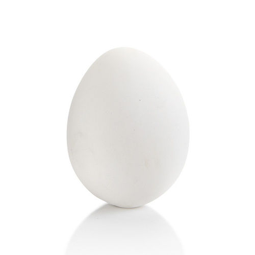 Fresh White Egg For Cooking Use