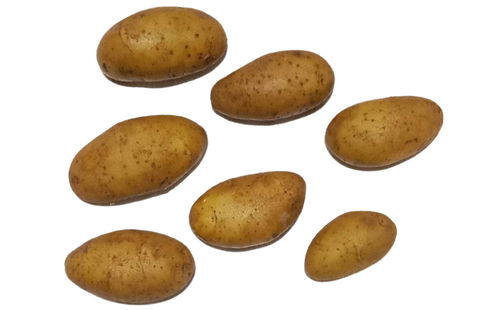 Healthy And Nutritious Fresh Potato