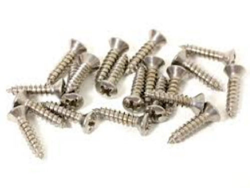 Silver Lightweight Polished Finish Stainless Steel Round Head Screw