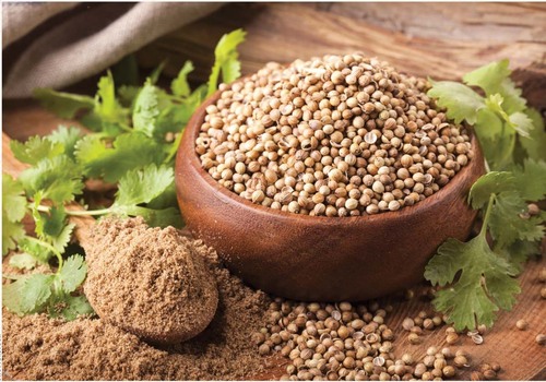 Natural Dried Coriander Powder For Cooking Use