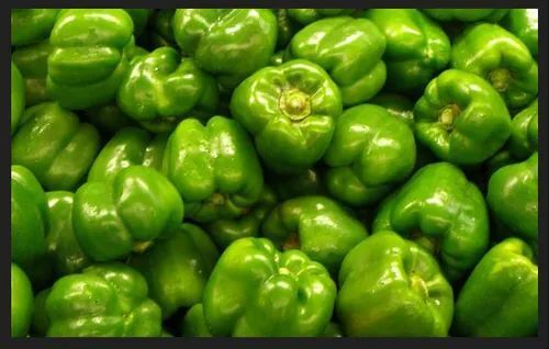 Good For Health Pesticide Free Green Capsicum