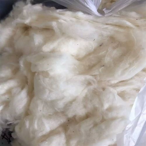 raw cotton