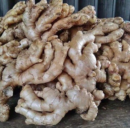 organic ginger