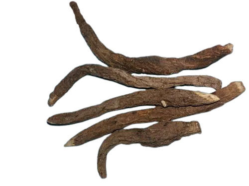 Dried And Natural Akarkara Root Pure Herbs