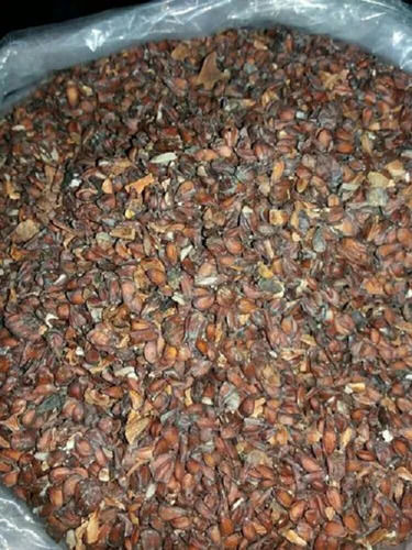 Dried And Natural Bihi Dana Pure Herbs