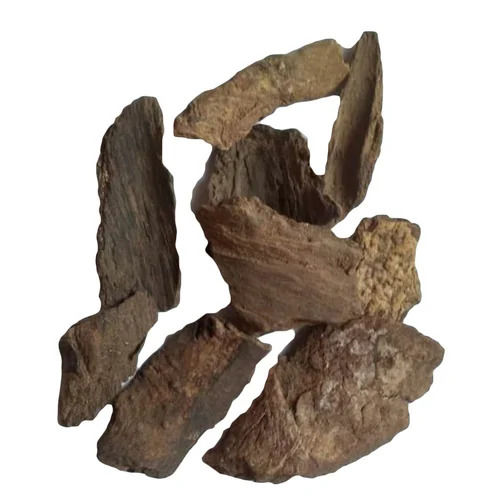 Dried Litsea Glutinosa Bark Ayurvedic Medicine Herbs