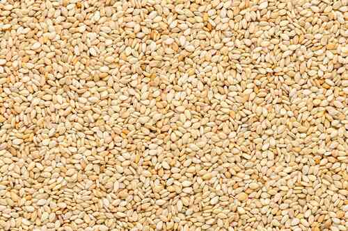 Natural Sun Dried Organic Sesame Seed For Cooking Use