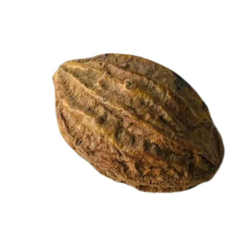 Dry Terminalia Chebula Herbs