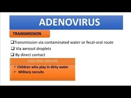 Herpes Simplex Virus (HSV) Detection RT PCR Kit