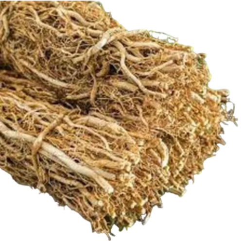 Vetiver Coleus Vettiveroides Root Pure And Natural Herbs