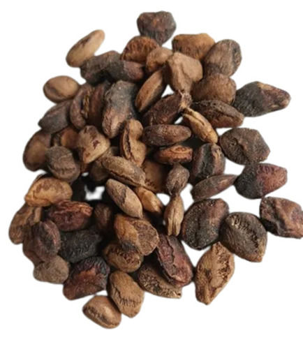 A Grade 100% Pure And Natural Dried Balam Khira Herbal Seed