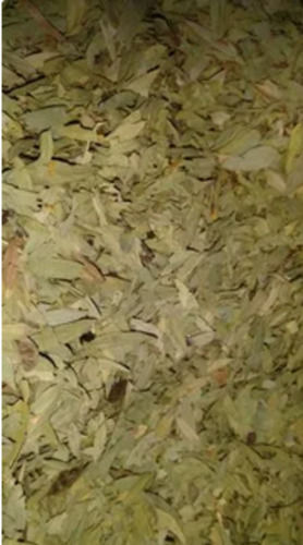 A Grade 100% Pure And Natural Dried Sona Mukhi Leafs Ayurvedic Herbs