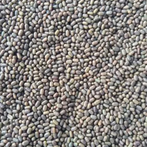 A Grade 100% Pure And Natural Herbal Sesbania Seed