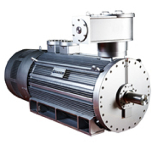 Environment Friendly High Voltage Motor For Industrial Application