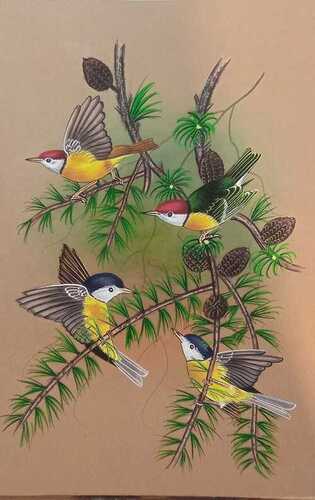 Handmade Various Type Of Birds Painting For Home Decoration