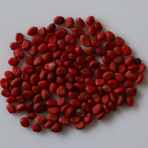 Organic Radish Seed For Agriculture Crop Use