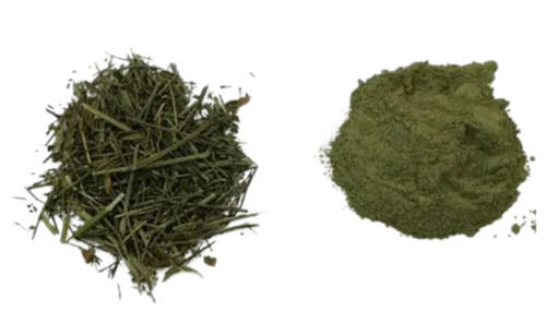 A Grade 100% Pure And Natural Kalmegh Herbal Powder