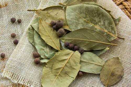 Natural Sun Dried Bay Leaf For Cooking Use