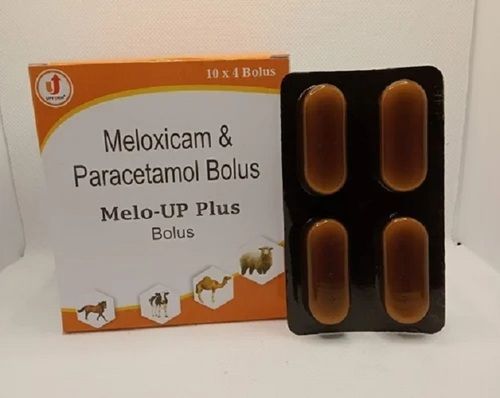 Meloxicam And Paracetamol Veterinary Bolus