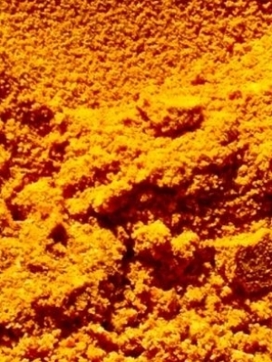 turmeric powder