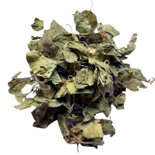 A Grade 100% Pure And Natural Gudmar Gymnema Sylvestre Leaves
