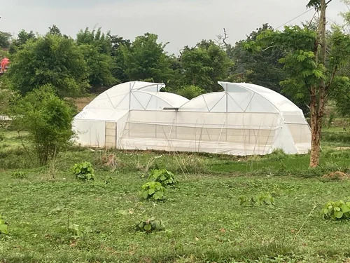 Greenhouse Polyhouse For Agriculture Use