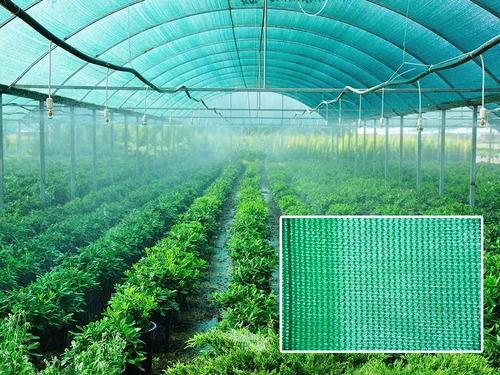 Polycarbonate Green Polyhouse For Agriculture Use