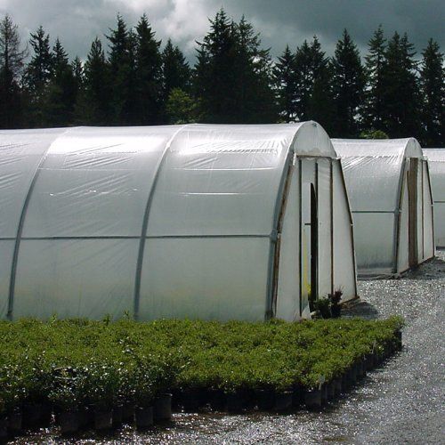 White Pp Polyhouse For Horticulture Use