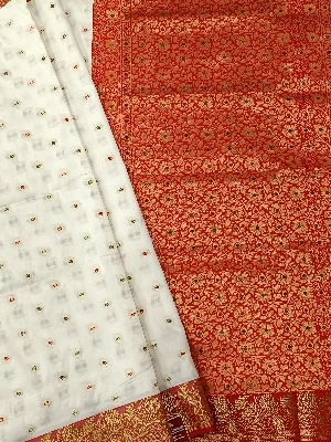 Banarasi Silk Saree - Multicolor Embroidered Pattern, Comfortable and Skin Friendly with Shiny Look for Casual and Party Wear