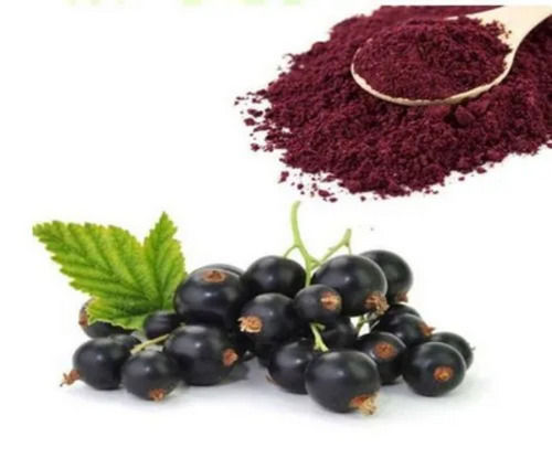 Black Current Natural Herbal Extracts