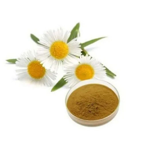 Chamomile Flower Natural Herbal Extracts