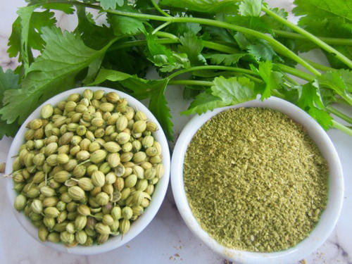 Coriander Seeds Powder - Color: Green