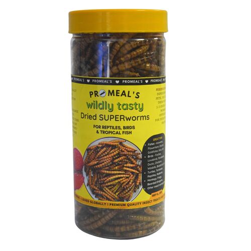 Promeal Premium Dried Superworms | High Protein Food For Aquarium