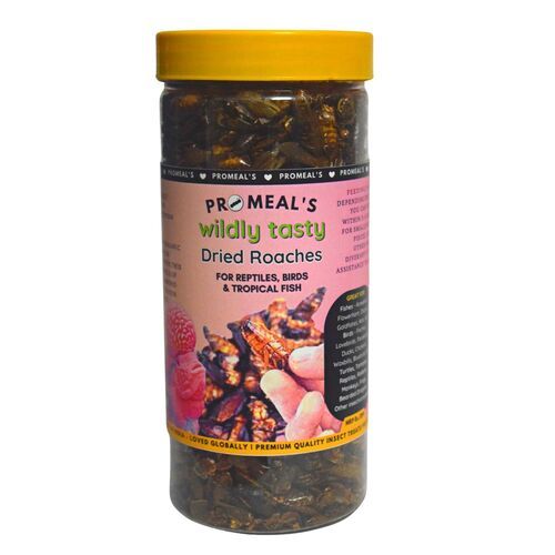 Promeal's Dried Roaches Food for Aquarium Fishes Birds Reptiles and Other Pets 180gm (1000 grubs))