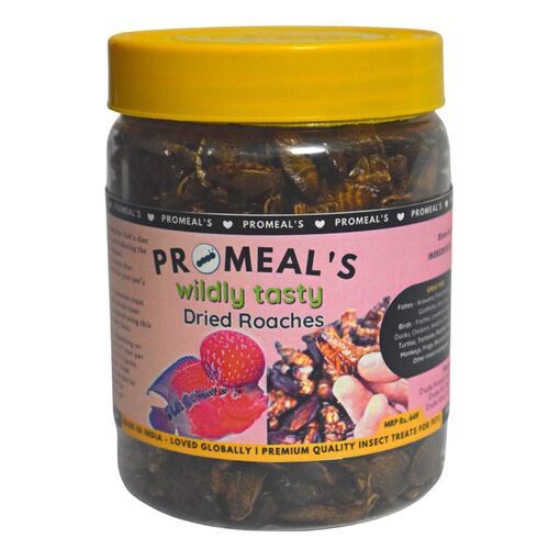 Promeal's Dried Roaches for Aquarium Fishes Birds and Other Pets